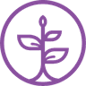 PDS Logo